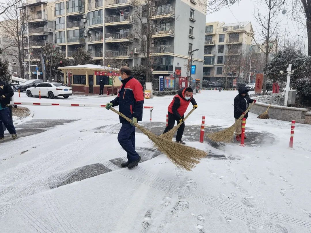 扫雪志愿行 路畅暖民心—后田社区清扫积雪志愿服务活动