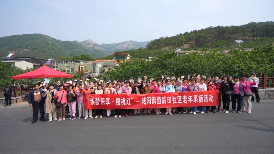 银龄乐享·樱桃红 | 城阳街道后田社区老年采摘活动